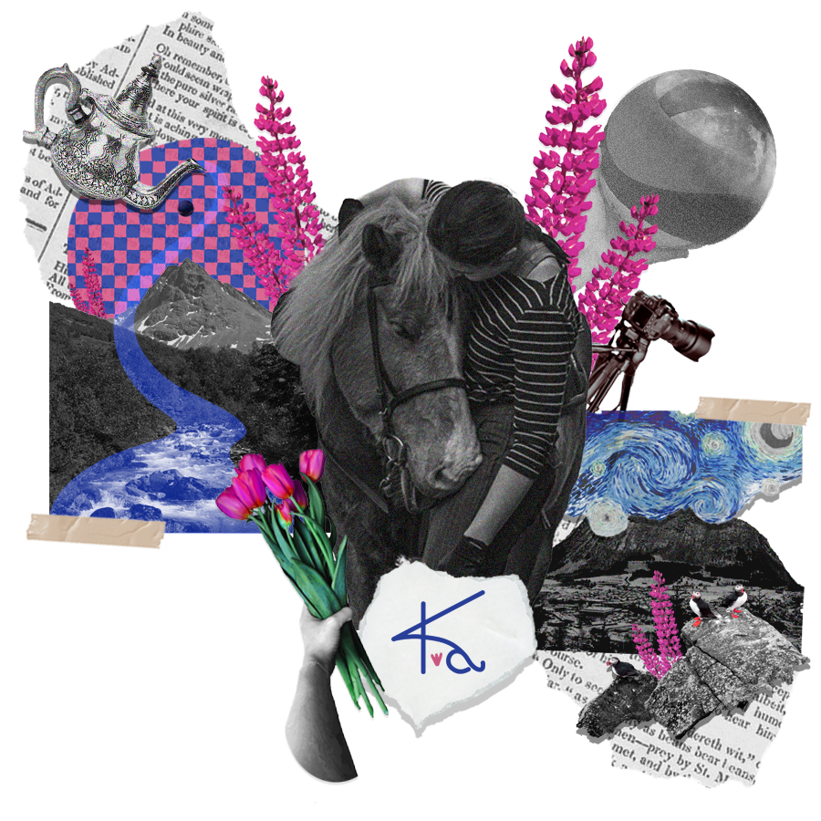 collage horses volleyball art portraits puffins starry night moroccan tea mountains fjords